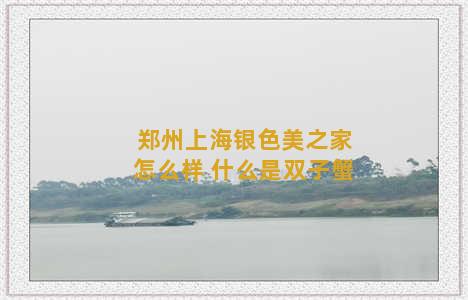 郑州上海银色美之家怎么样 什么是双子蟹